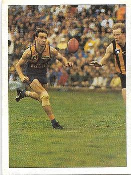 1992 Select AFL Stickers #251 Peter Matera / James Morrissey Front